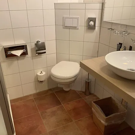 Goldner Loewe Отель 3*