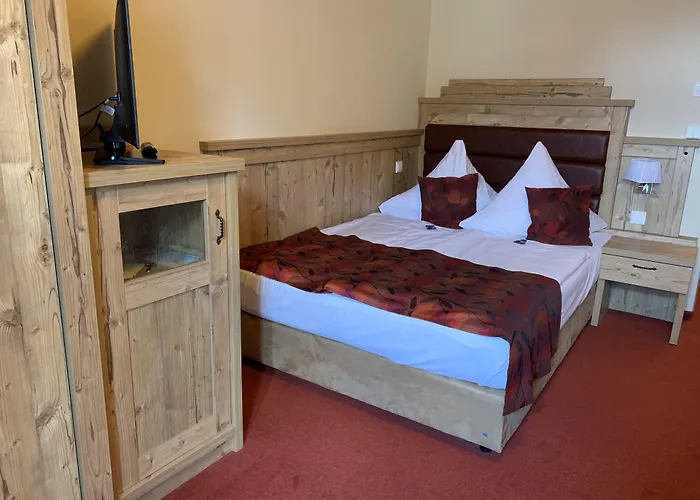 Goldner Loewe Hotel 3*