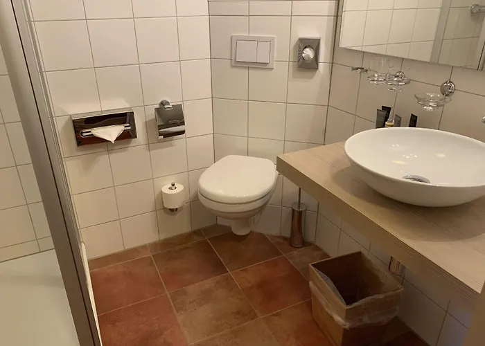 Goldner Loewe Hotel 3*