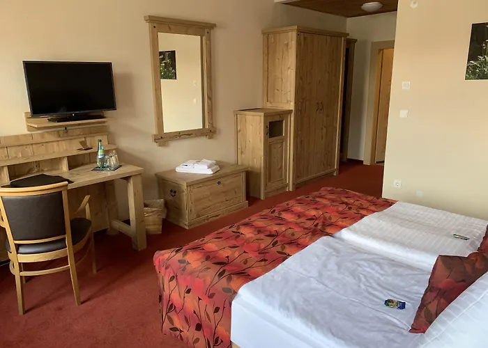 Hotel Goldner Loewe 3*